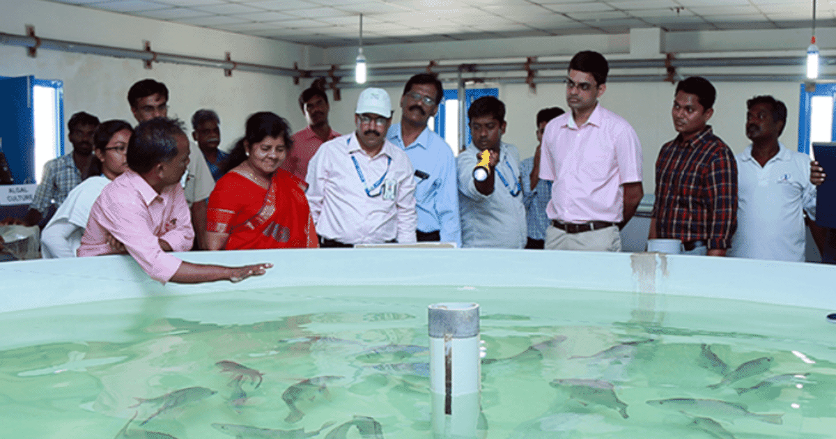 Indische Aquakulturindustrie Binnenwassersysteme
